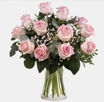 Roses all colors Alaya Syria